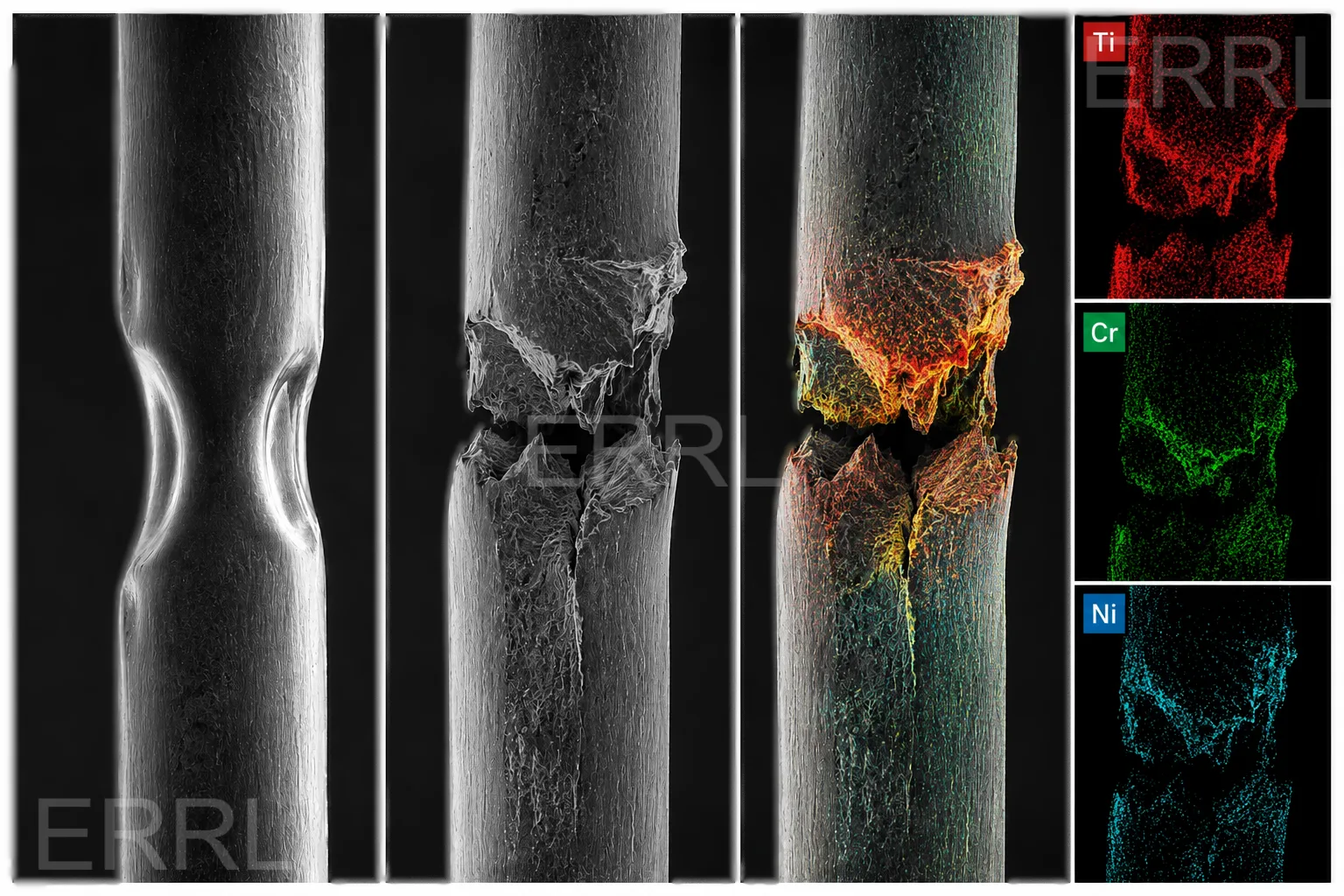 Failure Analysis & Material Characterization